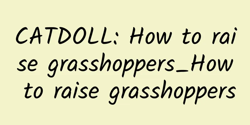CATDOLL: How to raise grasshoppers_How to raise grasshoppers