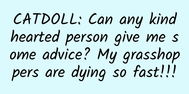 CATDOLL: Can any kindhearted person give me some advice? My grasshoppers are dying so fast!!!