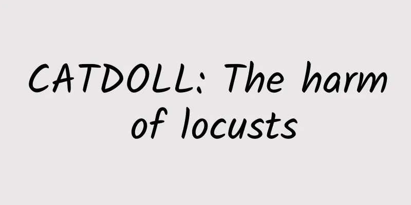 CATDOLL: The harm of locusts