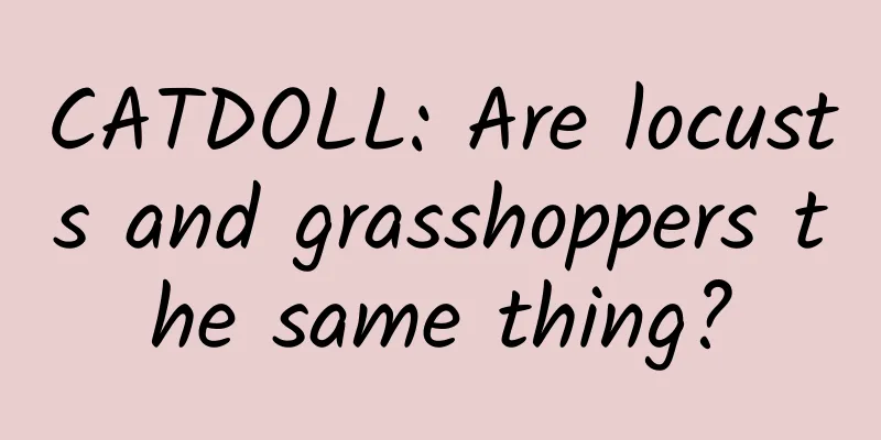 CATDOLL: Are locusts and grasshoppers the same thing?