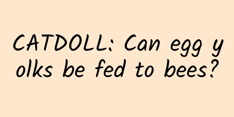 CATDOLL: Can egg yolks be fed to bees?