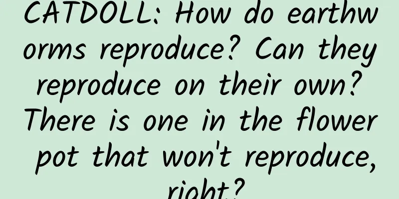 CATDOLL: How do earthworms reproduce? Can they reproduce on their own? There is one in the flower pot that won't reproduce, right?