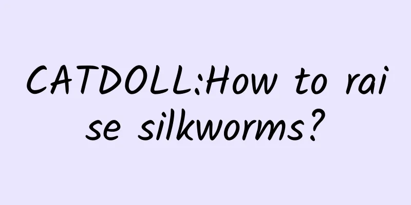 CATDOLL:How to raise silkworms?