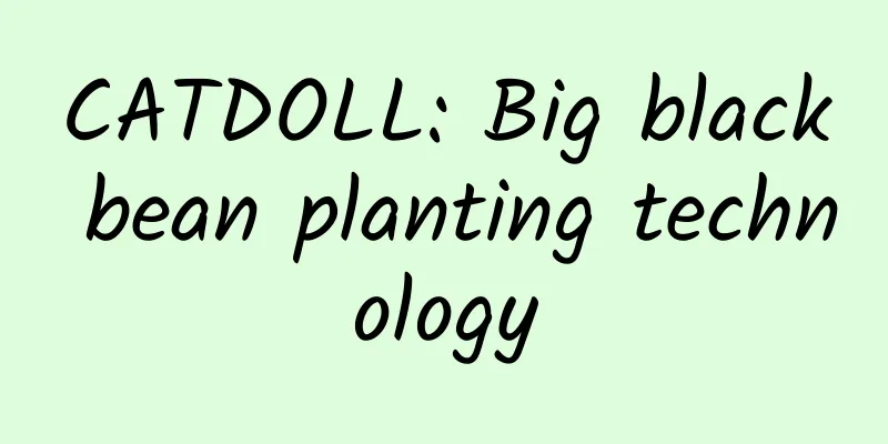 CATDOLL: Big black bean planting technology