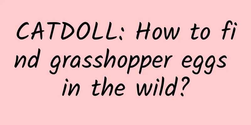 CATDOLL: How to find grasshopper eggs in the wild?