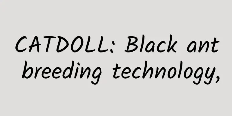 CATDOLL: Black ant breeding technology,