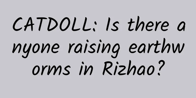 CATDOLL: Is there anyone raising earthworms in Rizhao?