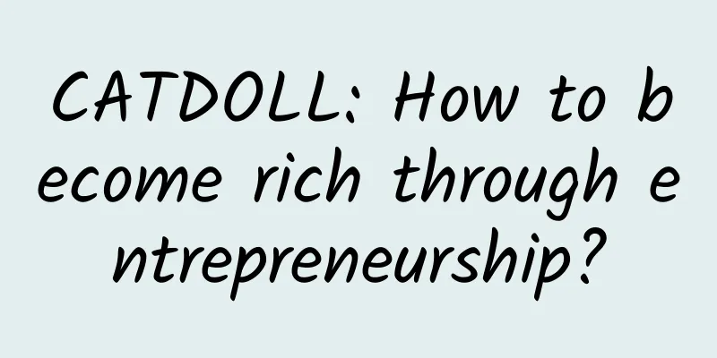 CATDOLL: How to become rich through entrepreneurship?