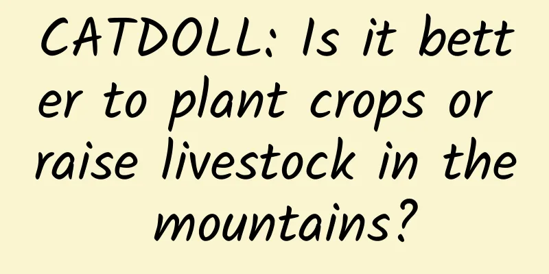 CATDOLL: Is it better to plant crops or raise livestock in the mountains?