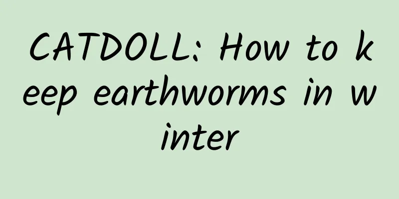 CATDOLL: How to keep earthworms in winter