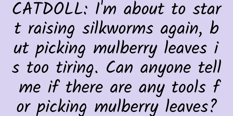 CATDOLL: I'm about to start raising silkworms again, but picking mulberry leaves is too tiring. Can anyone tell me if there are any tools for picking mulberry leaves?