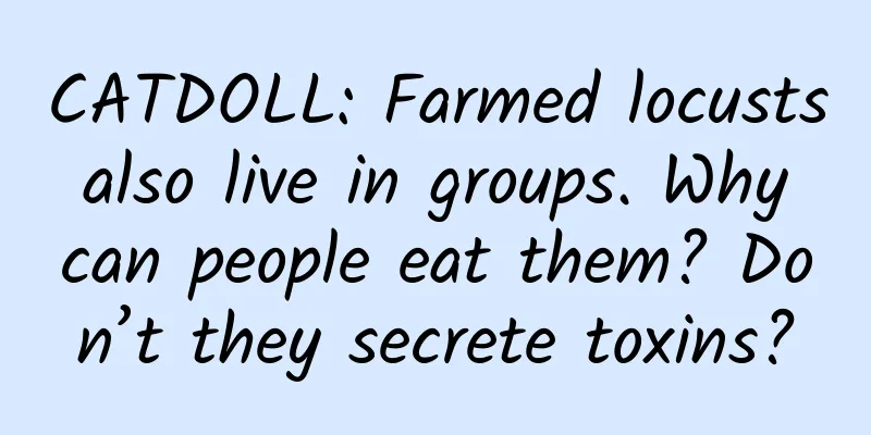 CATDOLL: Farmed locusts also live in groups. Why can people eat them? Don’t they secrete toxins?