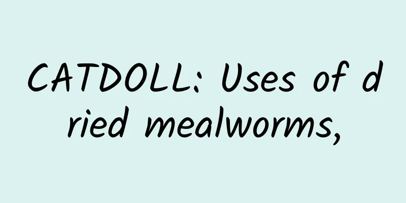 CATDOLL: Uses of dried mealworms,