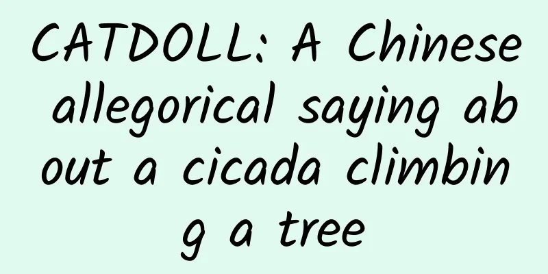 CATDOLL: A Chinese allegorical saying about a cicada climbing a tree