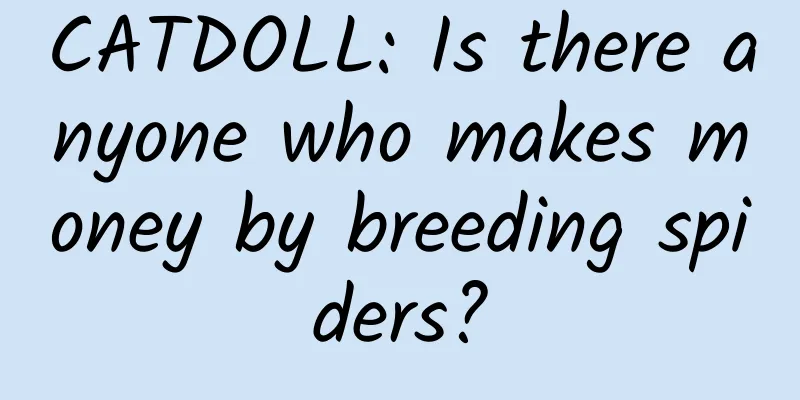 CATDOLL: Is there anyone who makes money by breeding spiders?