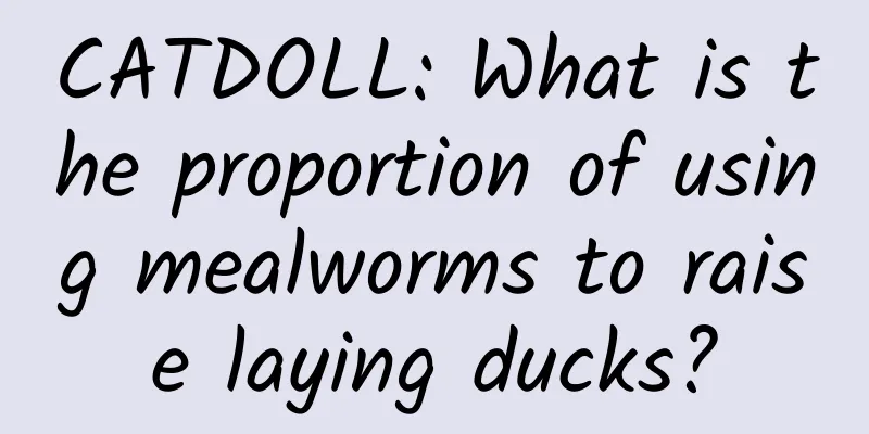 CATDOLL: What is the proportion of using mealworms to raise laying ducks?