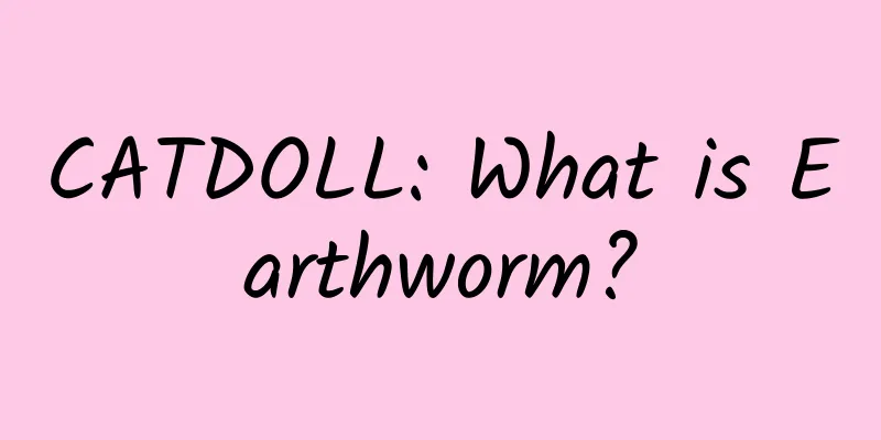 CATDOLL: What is Earthworm?