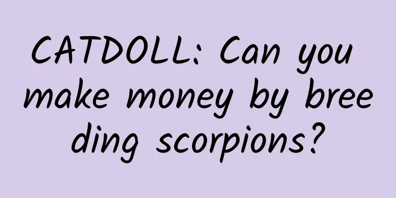 CATDOLL: Can you make money by breeding scorpions?