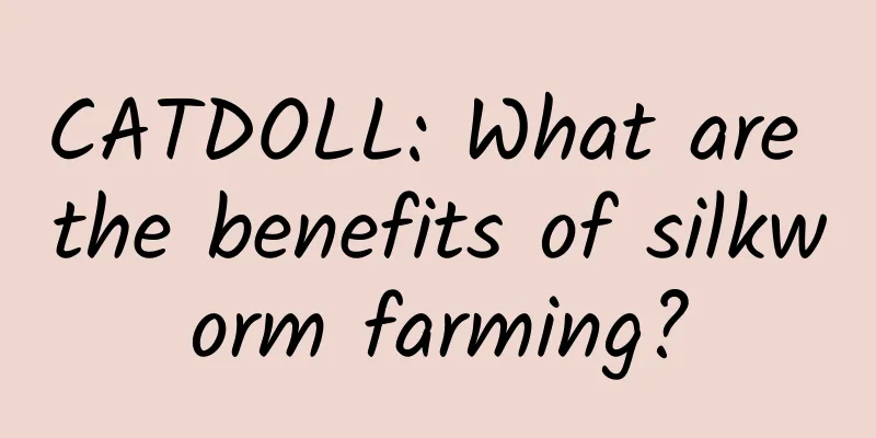 CATDOLL: What are the benefits of silkworm farming?