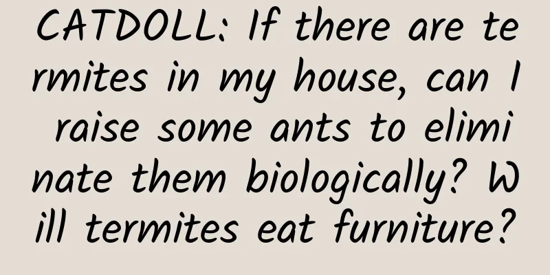 CATDOLL: If there are termites in my house, can I raise some ants to eliminate them biologically? Will termites eat furniture?