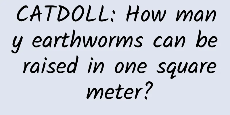 CATDOLL: How many earthworms can be raised in one square meter?