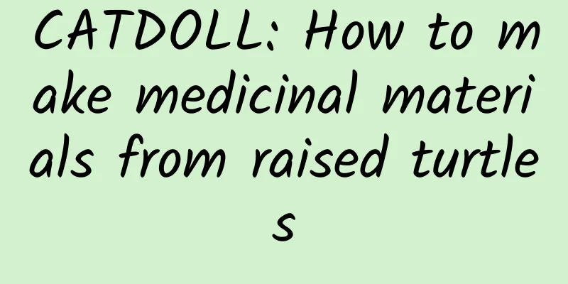 CATDOLL: How to make medicinal materials from raised turtles