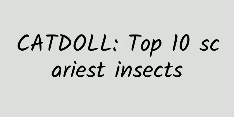 CATDOLL: Top 10 scariest insects