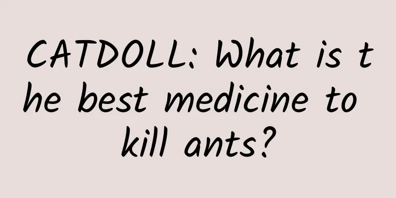 CATDOLL: What is the best medicine to kill ants?