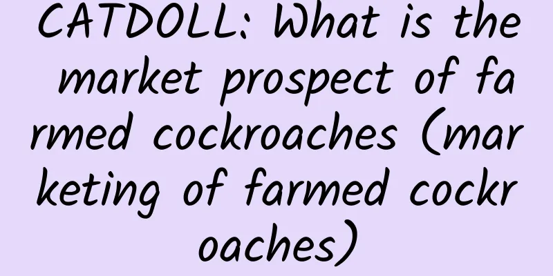 CATDOLL: What is the market prospect of farmed cockroaches (marketing of farmed cockroaches)