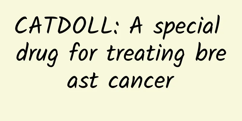 CATDOLL: A special drug for treating breast cancer