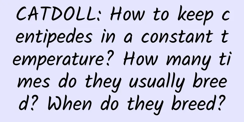 CATDOLL: How to keep centipedes in a constant temperature? How many times do they usually breed? When do they breed?