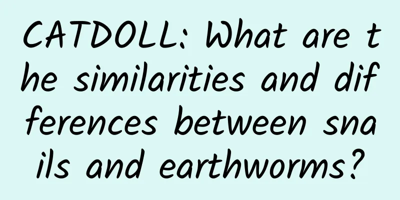 CATDOLL: What are the similarities and differences between snails and earthworms?