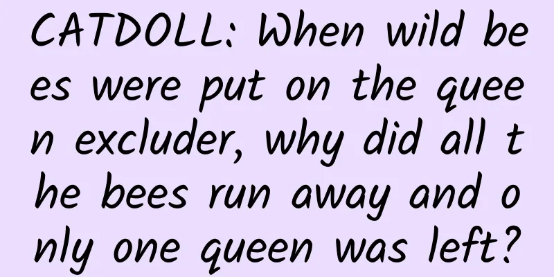 CATDOLL: When wild bees were put on the queen excluder, why did all the bees run away and only one queen was left?