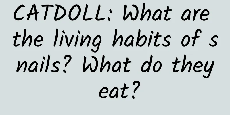 CATDOLL: What are the living habits of snails? What do they eat?