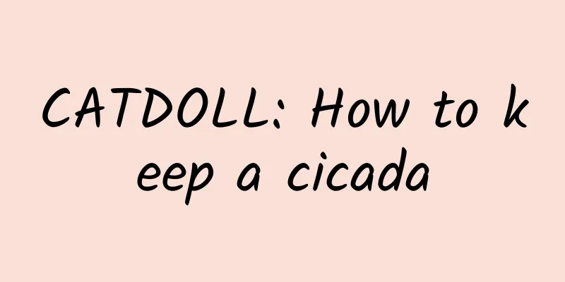 CATDOLL: How to keep a cicada