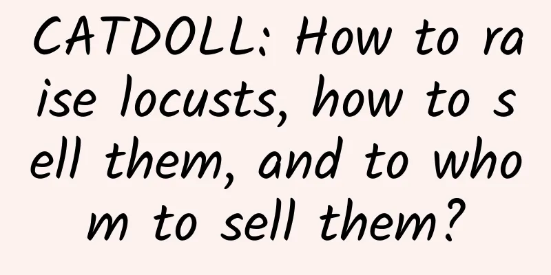 CATDOLL: How to raise locusts, how to sell them, and to whom to sell them?