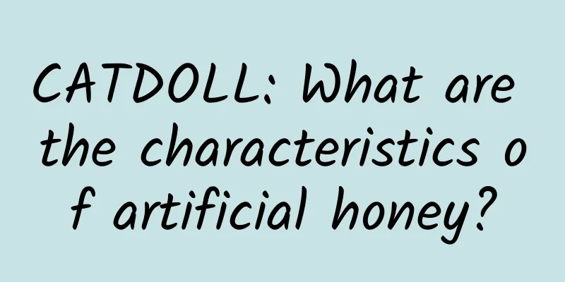 CATDOLL: What are the characteristics of artificial honey?
