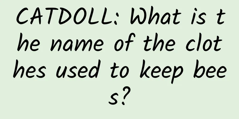 CATDOLL: What is the name of the clothes used to keep bees?