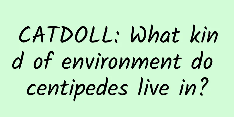 CATDOLL: What kind of environment do centipedes live in?