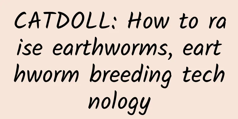 CATDOLL: How to raise earthworms, earthworm breeding technology