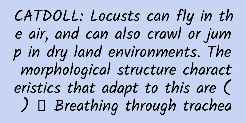 CATDOLL: Locusts can fly in the air, and can also crawl or jump in dry land environments. The morphological structure characteristics that adapt to this are ( ) ① Breathing through trachea