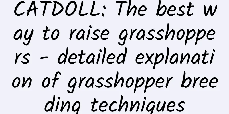 CATDOLL: The best way to raise grasshoppers - detailed explanation of grasshopper breeding techniques