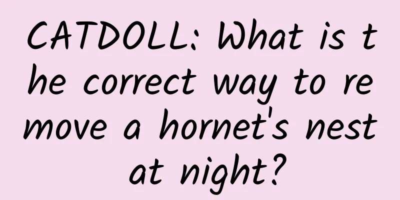 CATDOLL: What is the correct way to remove a hornet's nest at night?