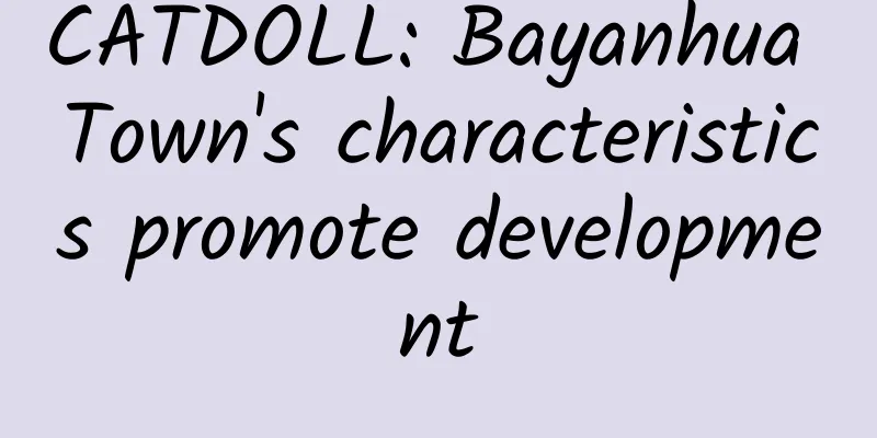 CATDOLL: Bayanhua Town's characteristics promote development