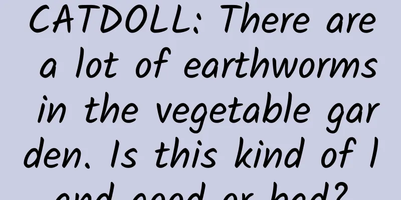 CATDOLL: There are a lot of earthworms in the vegetable garden. Is this kind of land good or bad?