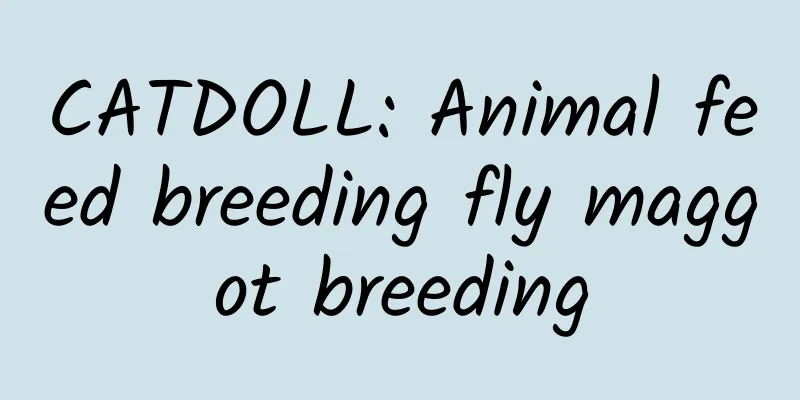 CATDOLL: Animal feed breeding fly maggot breeding
