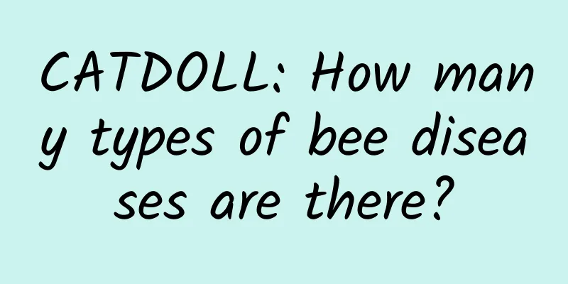 CATDOLL: How many types of bee diseases are there?