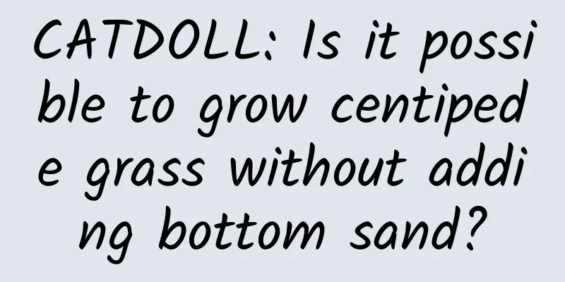 CATDOLL: Is it possible to grow centipede grass without adding bottom sand?