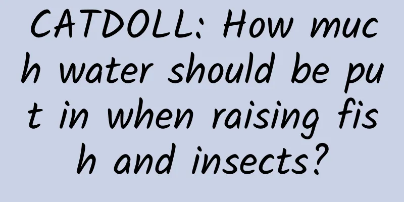 CATDOLL: How much water should be put in when raising fish and insects?
