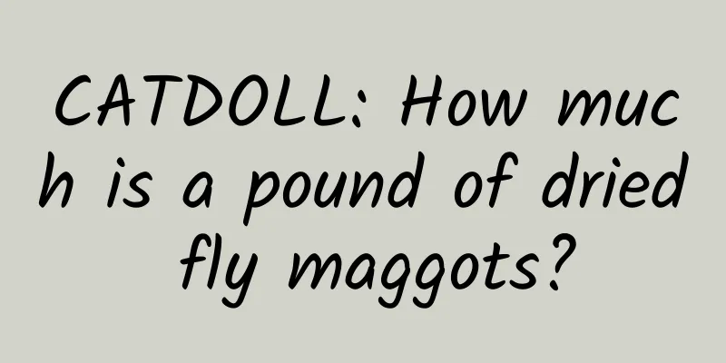 CATDOLL: How much is a pound of dried fly maggots?